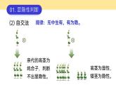 人教版2025高中生物必修二1.1.2孟德尔豌豆杂交（一） 课件