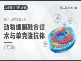 人教版2025高中生物选择性必修三2.2动物细胞工程(第二课时） 课件