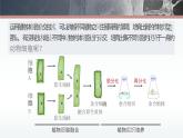 人教版2025高中生物选择性必修三2.2动物细胞工程(第二课时） 课件
