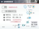 人教版2025高中生物选择性必修三2.2动物细胞工程(第二课时） 课件