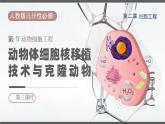 人教版2025高中生物选择性必修三2.2动物细胞工程(第三课时） 课件