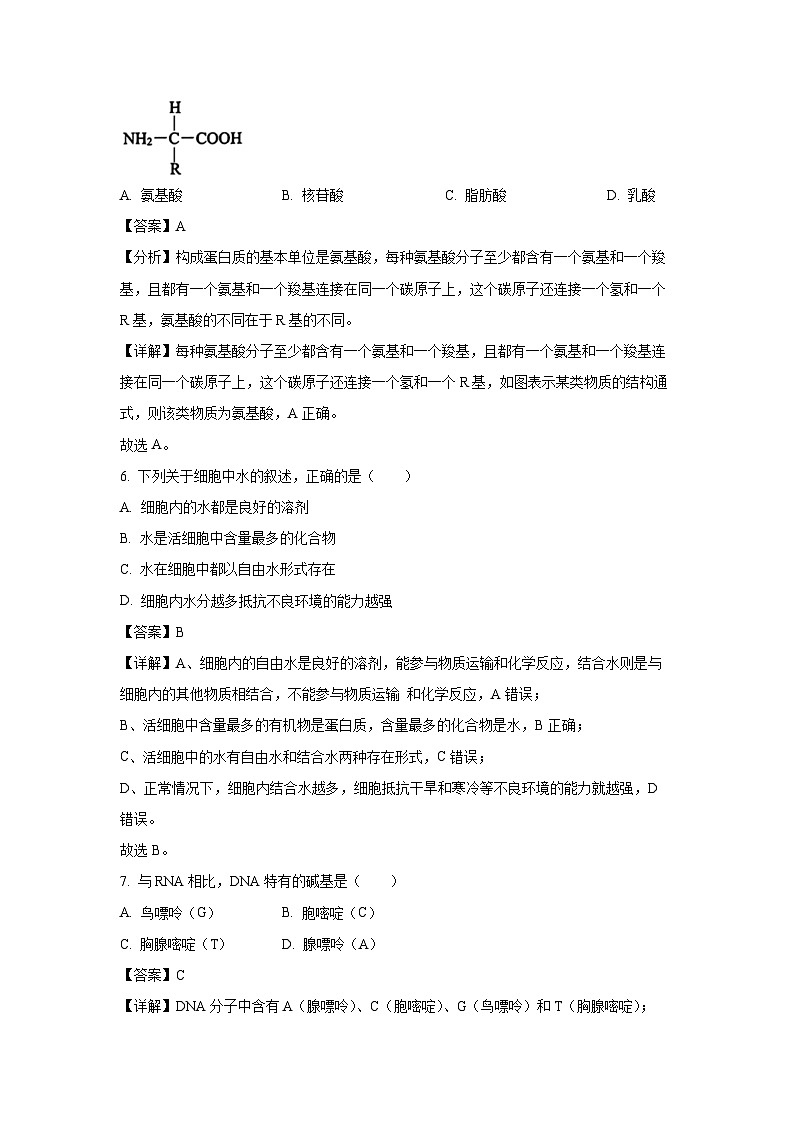 2024-2025学年江苏省无锡市高一上学期期终教学质量调研测生物试卷（解析版）第3页