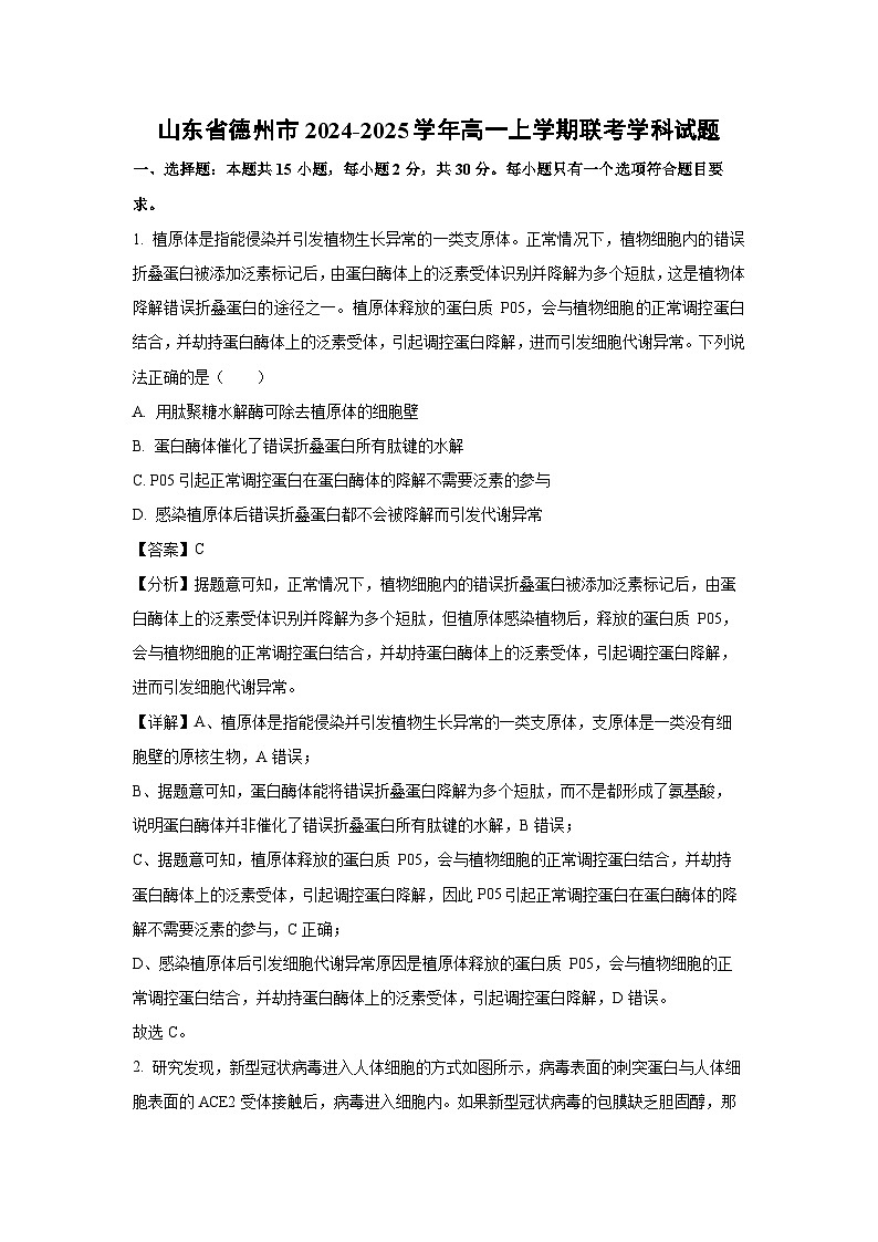 2024-2025学年山东省德州市高一上学期联考学科生物试卷（解析版）第1页