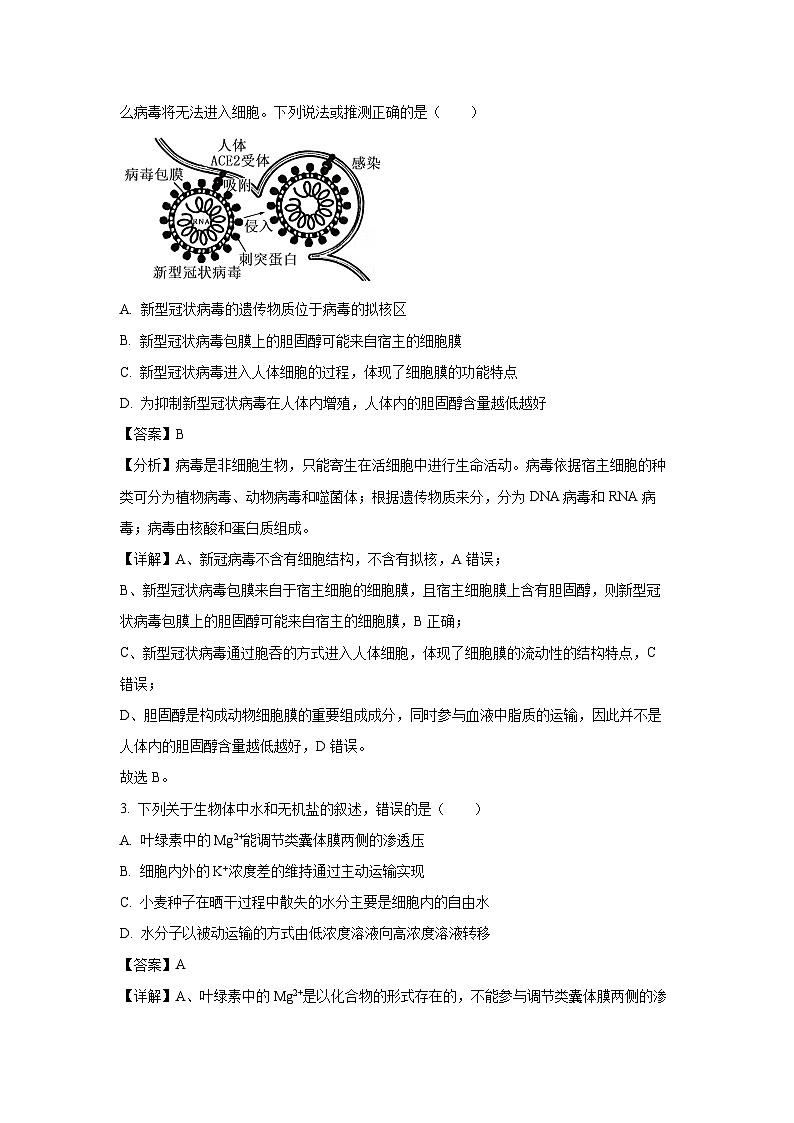 2024-2025学年山东省德州市高一上学期联考学科生物试卷（解析版）第2页