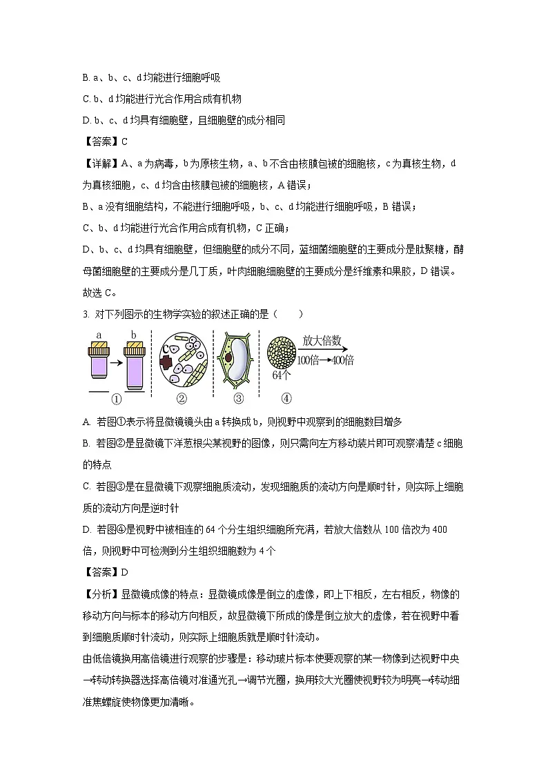 2024-2025学年宁夏回族自治区石嘴山市大武口区石嘴山市第三中学高一上学期1月期末生物试卷（解析版）第2页