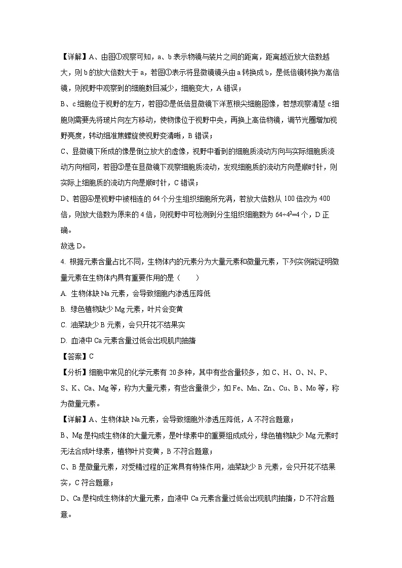 2024-2025学年宁夏回族自治区石嘴山市大武口区石嘴山市第三中学高一上学期1月期末生物试卷（解析版）第3页