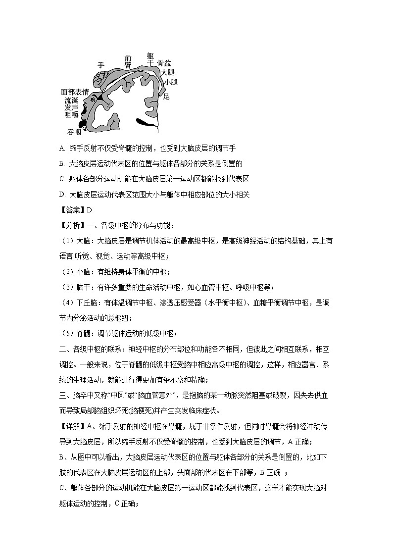 2024-2025学年四川省内江市高二上学期期末检测生物试卷（解析版）第2页