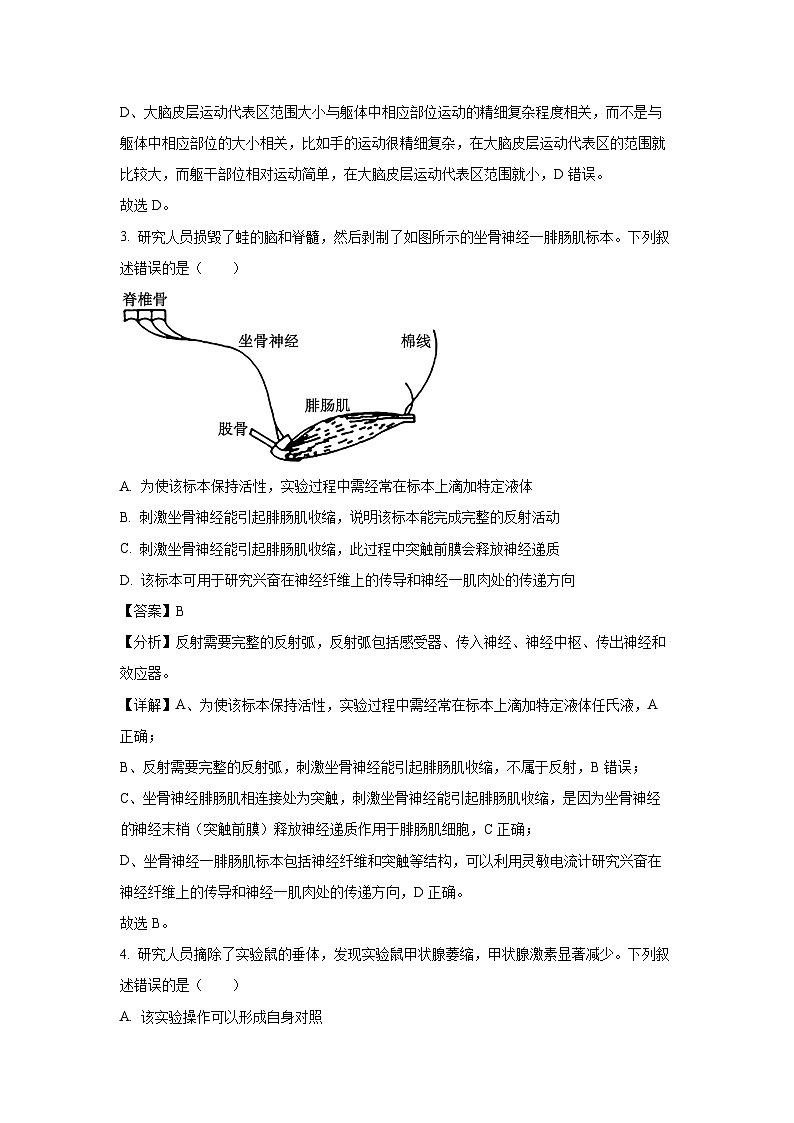 2024-2025学年四川省内江市高二上学期期末检测生物试卷（解析版）第3页