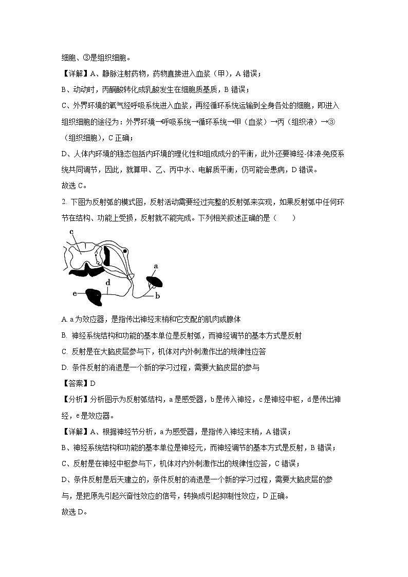 2024-2025学年吉林省五校联考高二上学期期末考试生物试卷（解析版）第2页