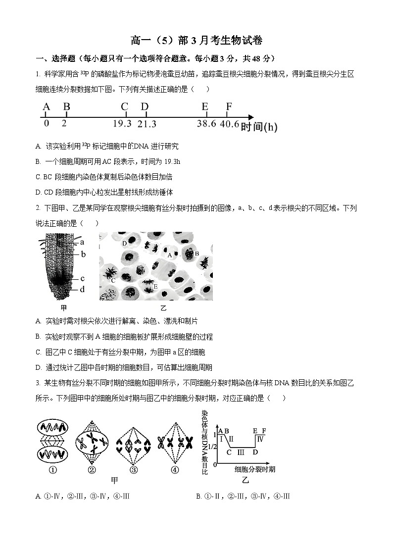 甘肃省张掖市民乐一中2024-2025学年高一下学期3月月考生物试卷（原卷版+解析版）第1页