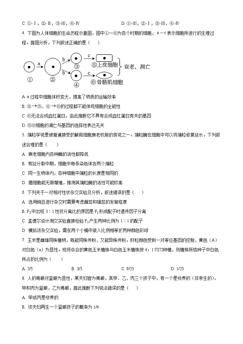 甘肃省张掖市民乐一中2024-2025学年高一下学期3月月考生物试卷（原卷版+解析版）第2页