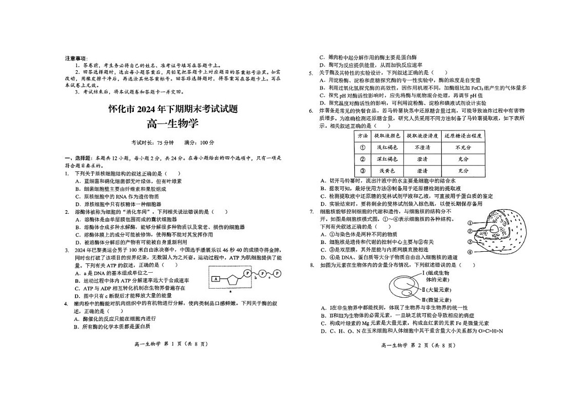 2024-2025学年上学期湖南省怀化市高一期末考试生物试卷第1页