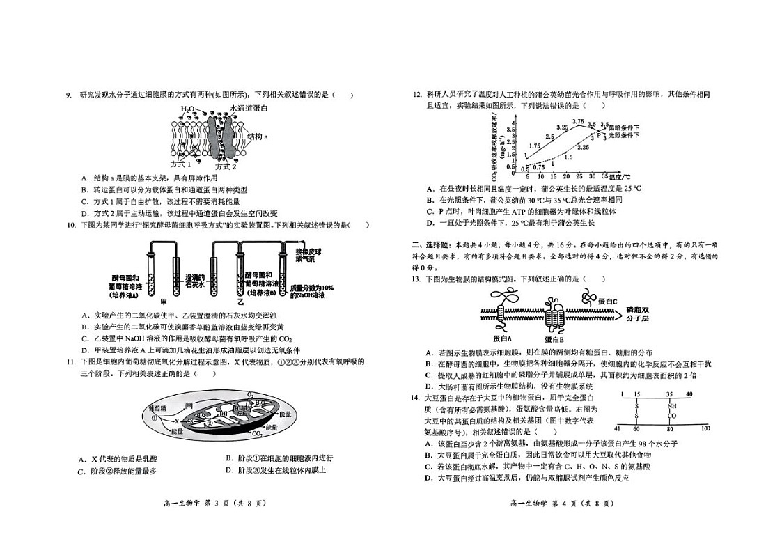 2024-2025学年上学期湖南省怀化市高一期末考试生物试卷第2页