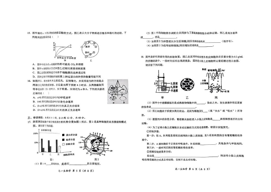 2024-2025学年上学期湖南省怀化市高一期末考试生物试卷第3页