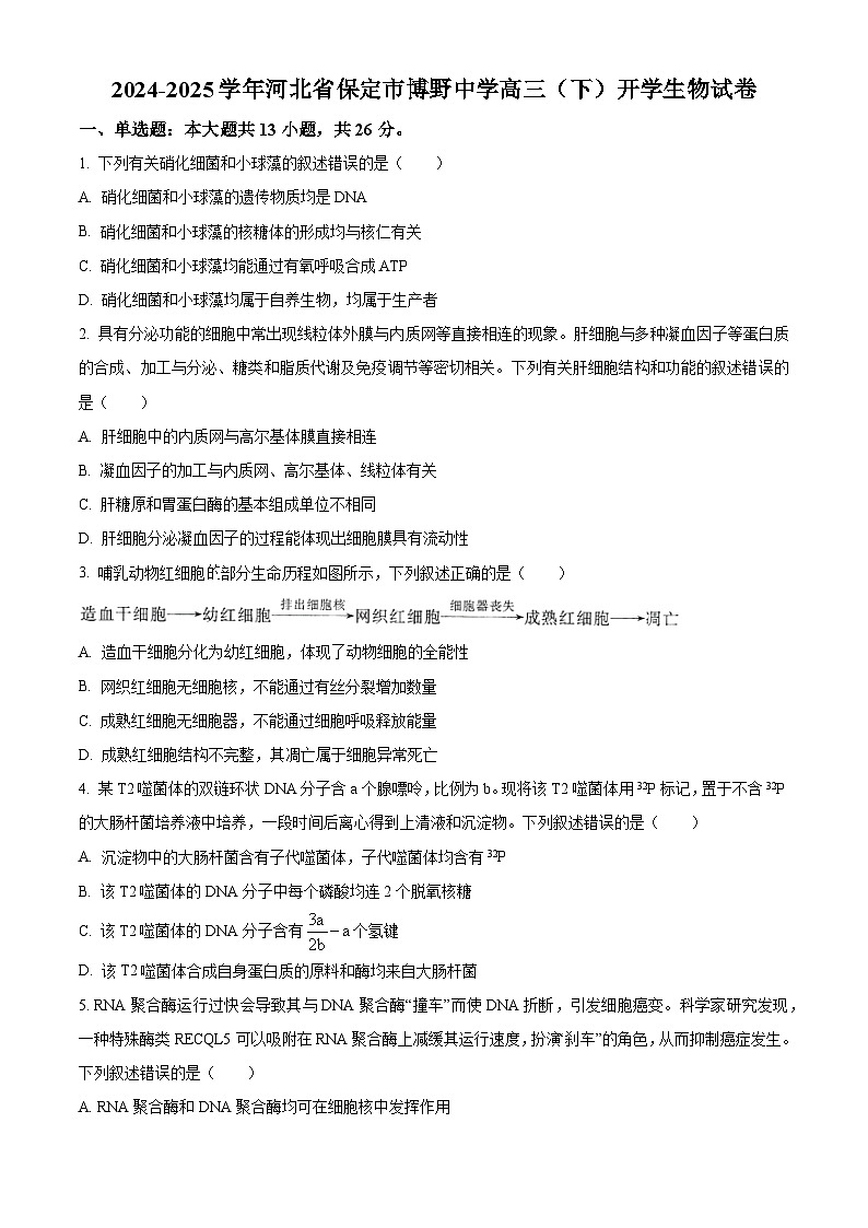 河北省保定市博野县博野中学2024-2025学年高三下学期开学考试生物试题（原卷版+解析版）第1页