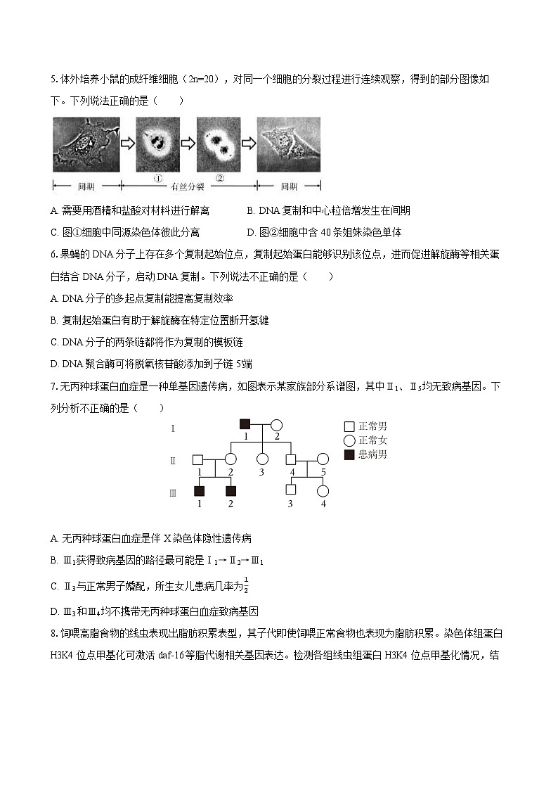 北京市东城区2024-2025学年高三（上）期末生物试卷（含解析）第2页