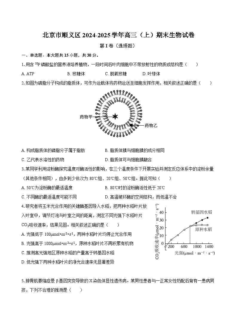 北京市顺义区2024-2025学年高三（上）期末生物试卷（含解析）第1页