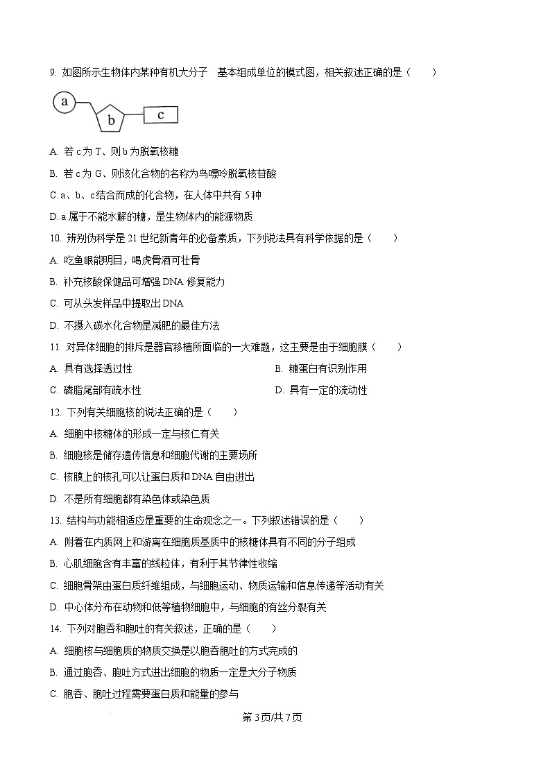 广东省惠州市2024-2025学年高一上学期期末质量检测生物试卷  Word版无答案第3页