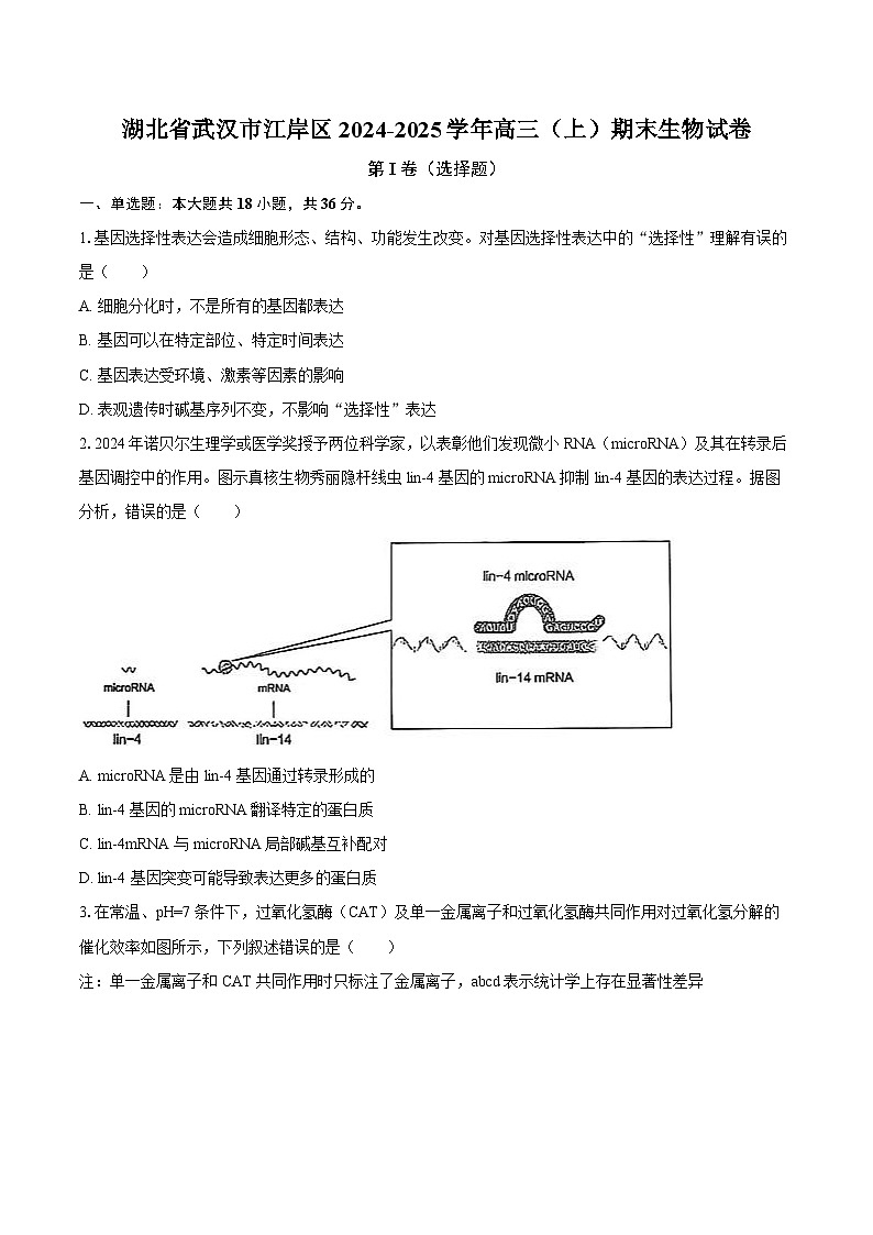 湖北省武汉市江岸区2024-2025学年高三（上）期末生物试卷（含解析）第1页