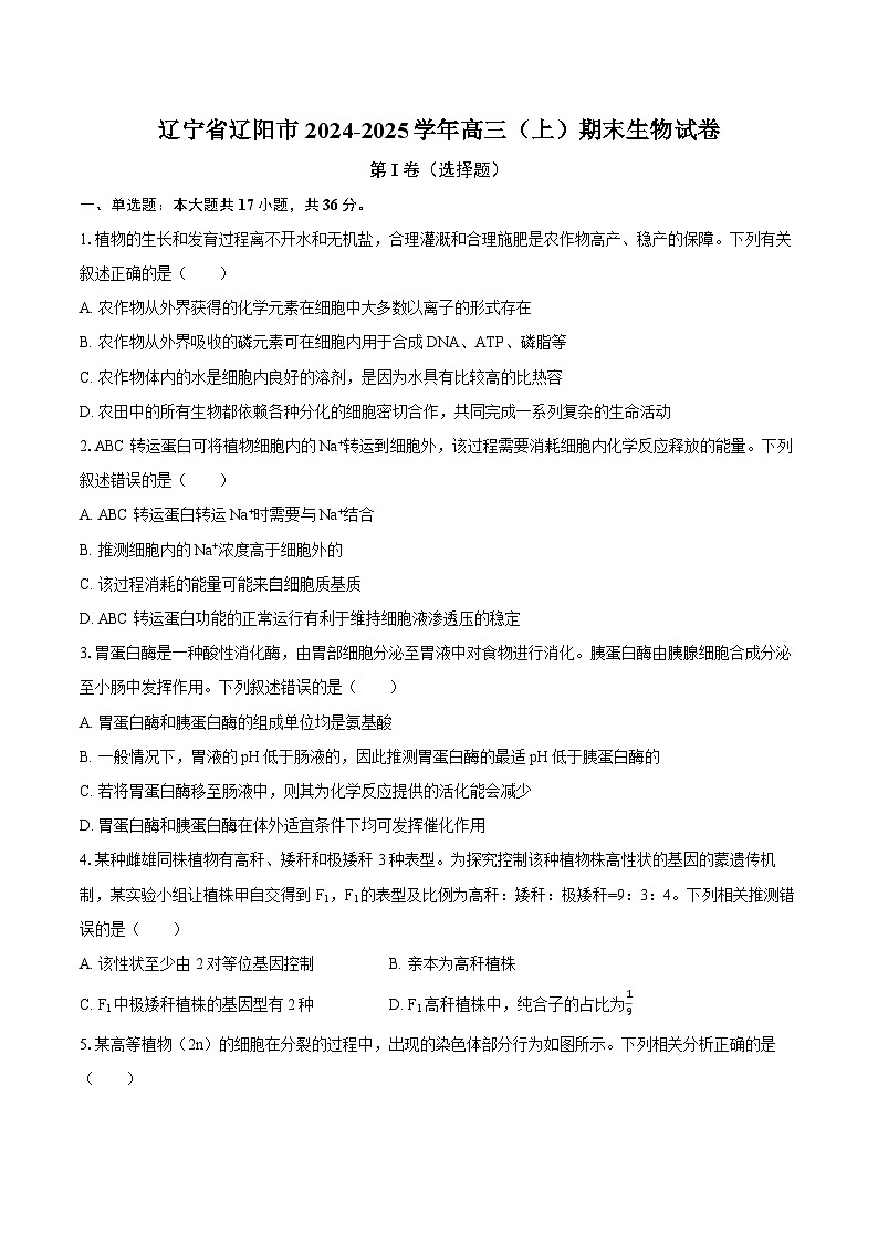 辽宁省辽阳市2024-2025学年高三（上）期末生物试卷（含解析）第1页