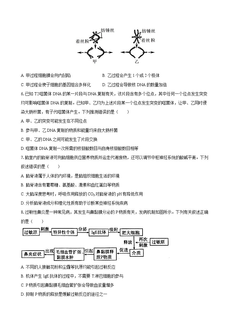 辽宁省辽阳市2024-2025学年高三（上）期末生物试卷（含解析）第2页