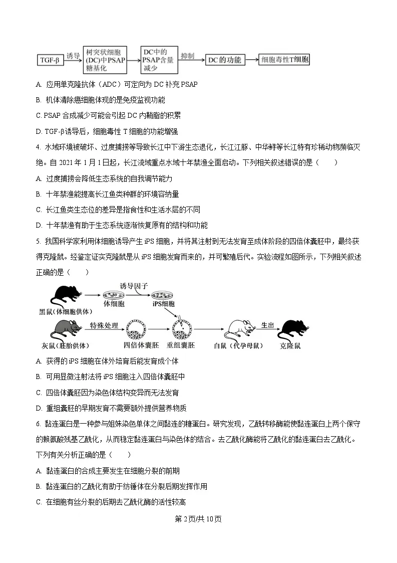 湖北省鄂东新领先协作体2025届高三下学期2月联考生物试题（原卷版）第2页
