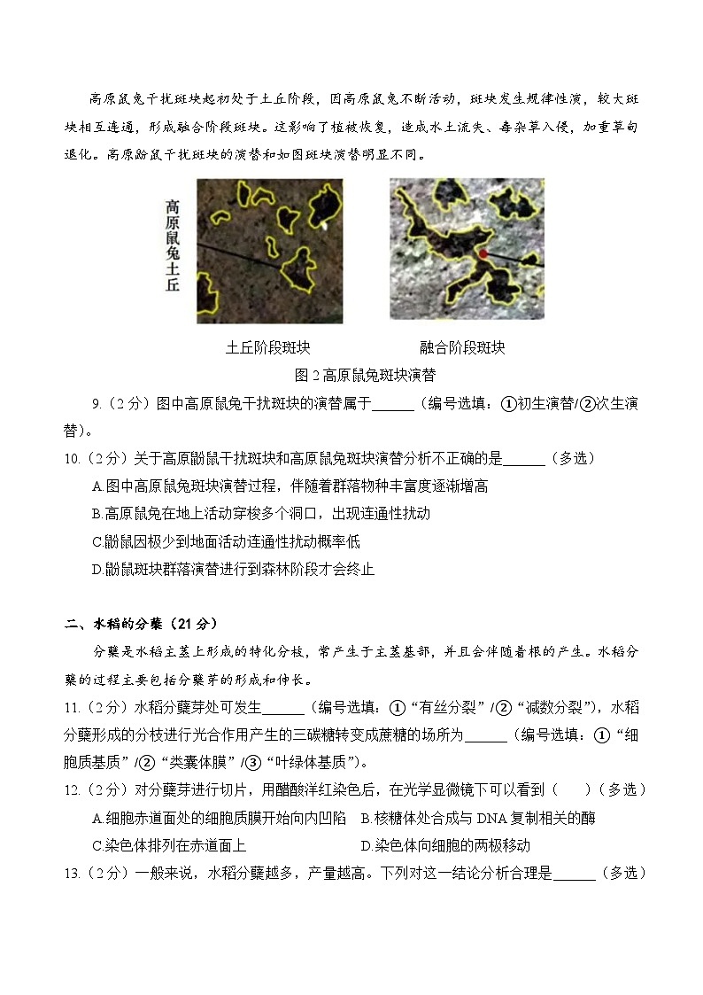 【2025届上海高三生物二模】2025届上海市徐汇区高三生物二模试卷与答案第3页