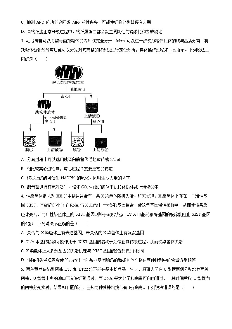 2025届山东省名校联盟高三下学期2月开学考试生物试题  Word版无答案第2页