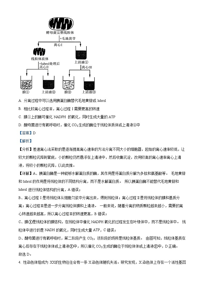 2025届山东省名校联盟高三下学期2月开学考试生物试题  Word版含解析第3页