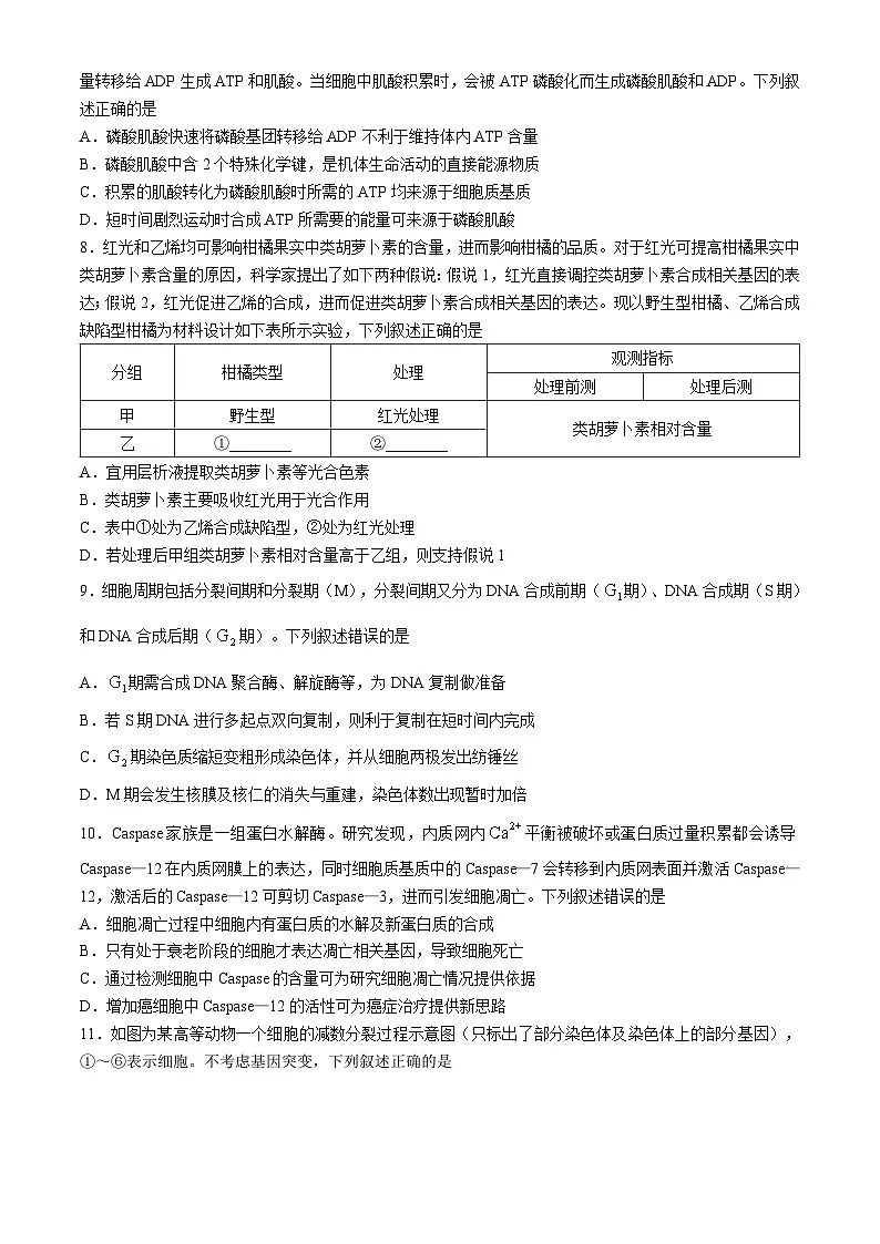 河南省部分重点中学2024-2025学年高三上学期11月质量检测生物试题（含解析）第3页