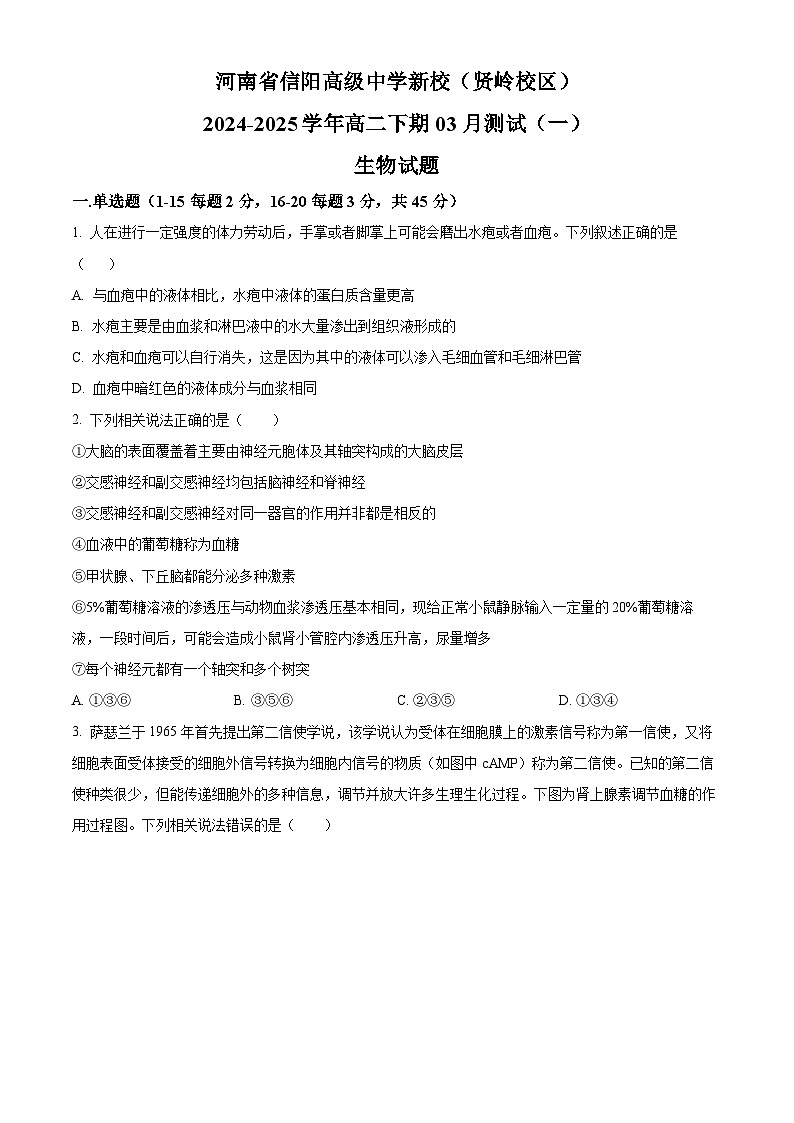 河南省信阳高级中学新校（贤岭校区）2024-2025学年高二下学期3月测试（一）生物试题（原卷版+解析版）第1页