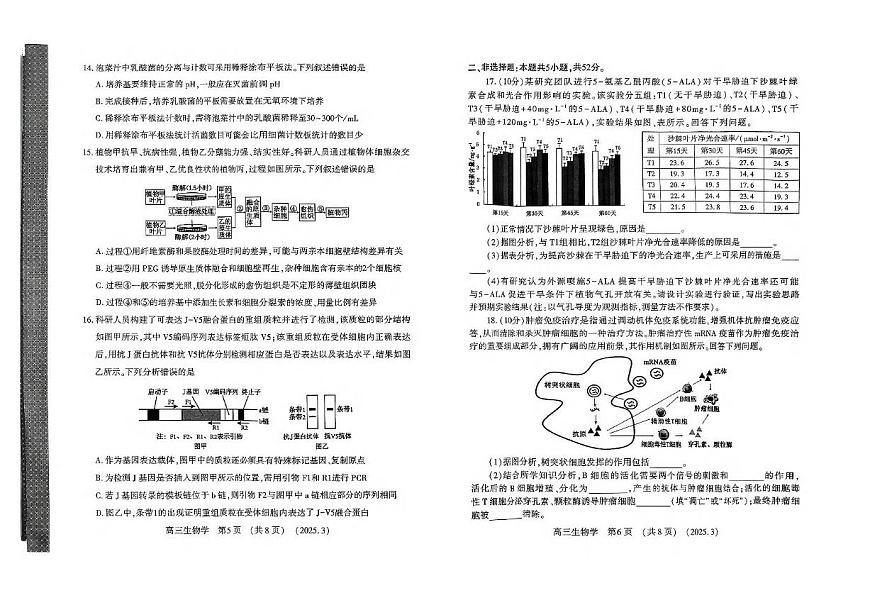 2025河南省豫西北教研联盟（洛平许济）高三下学期第二次质量检测试题生物PDF版含答案第3页
