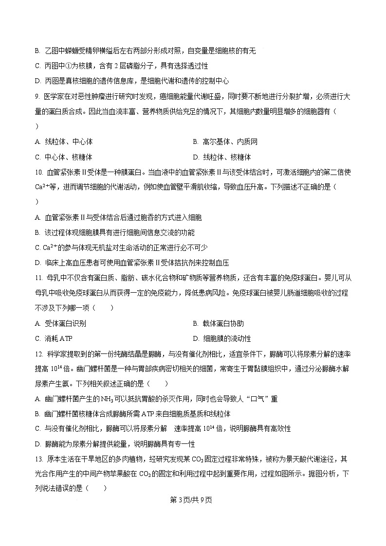 湖北省武汉市2024-2025学年高一上学期1月期末生物试题（原卷版）第3页