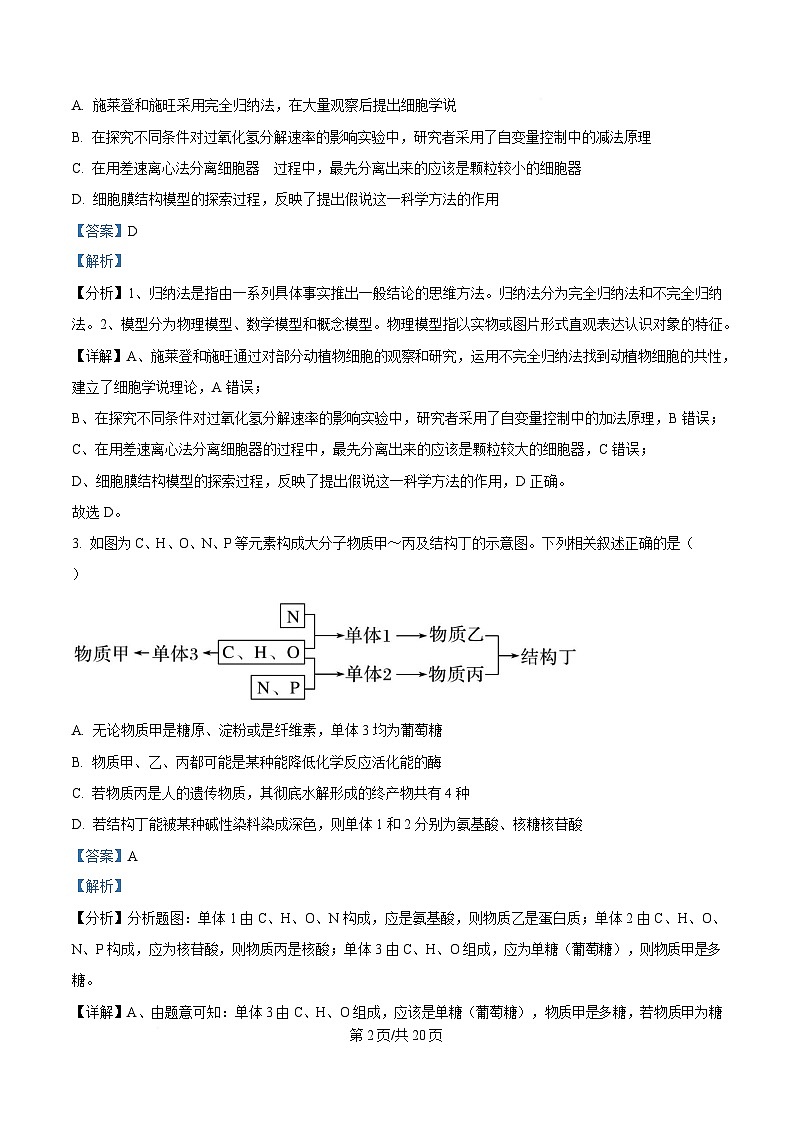 湖北省武汉市2024-2025学年高一上学期1月期末生物试题含解析第2页