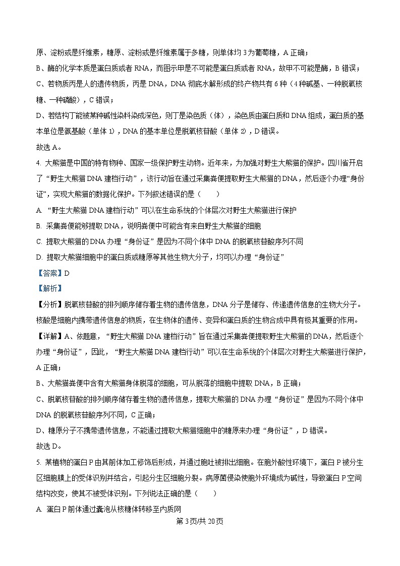 湖北省武汉市2024-2025学年高一上学期1月期末生物试题含解析第3页