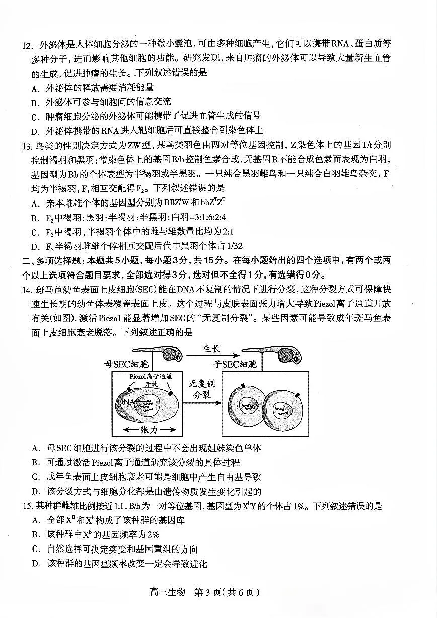 2025届石家庄高中高考模拟一模生物试卷+答案第3页