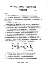 2025届青岛高中高考模拟一模生物试卷+答案