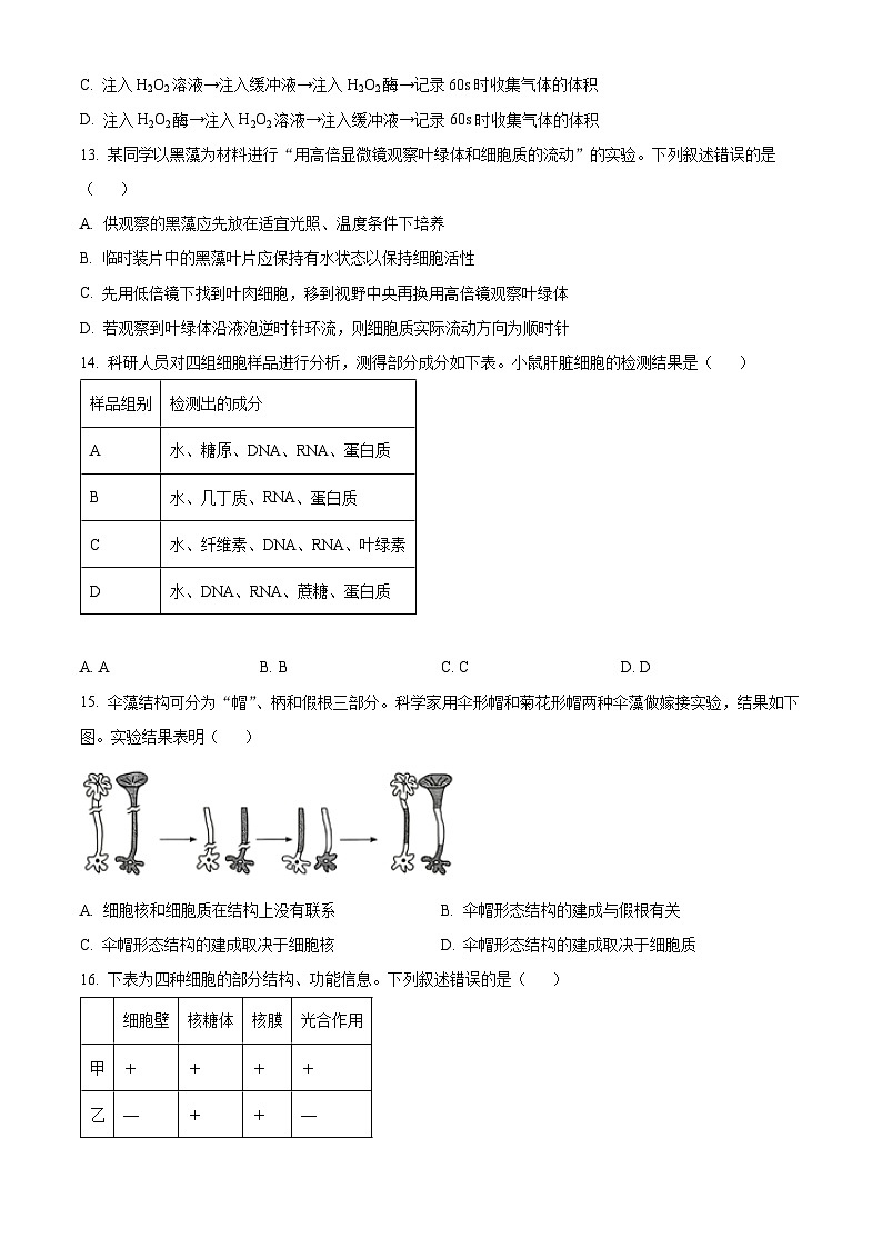 福建省泉州市2024-2025学年高一上学期期末质量监测生物试题（原卷版+解析版）第3页