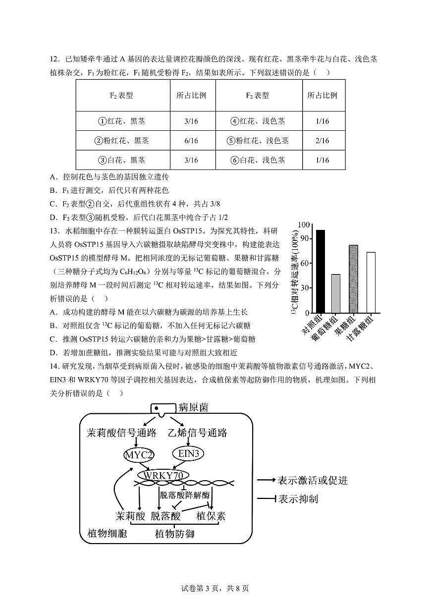 2025届广东省江门市高三一模生物试题及答案第3页