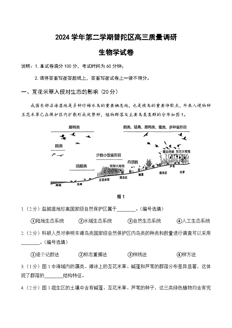 【2025届上海高三生物二模】2025届上海市普陀区高三生物二模试卷第1页