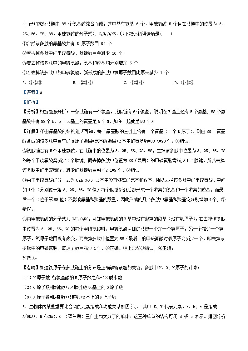 安徽省安庆市2023_2024学年高一生物下学期开学检测试题含解析第3页