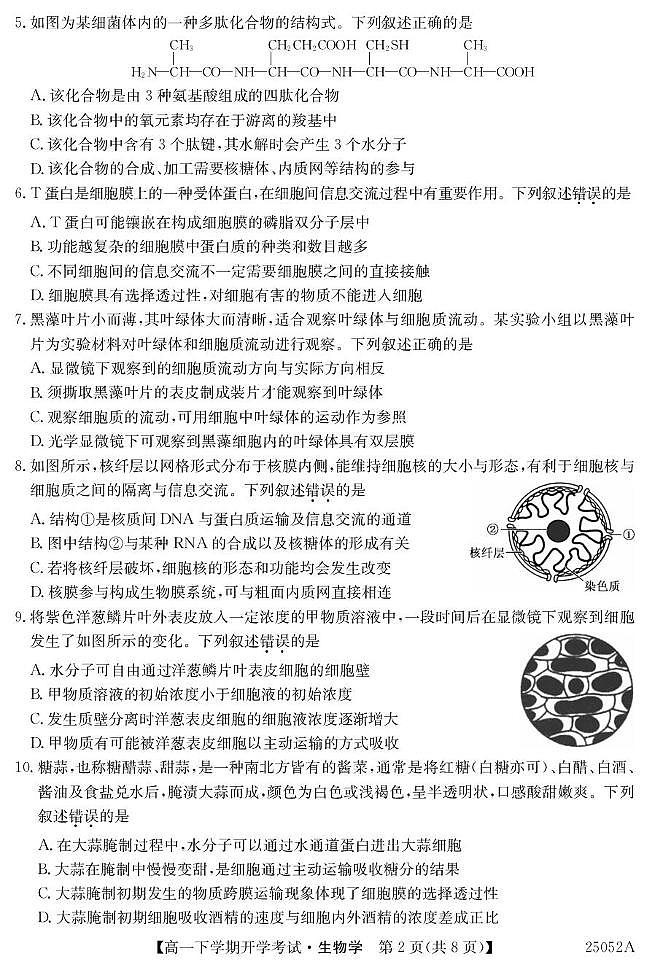 安徽省部分地市2024-2025学年高一下学期开学考试生物试卷（PDF版附解析）第2页
