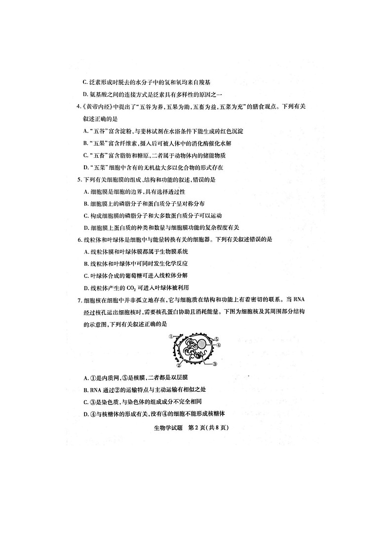 2024-2025学年上学期河南省周口市高一1月期末考试生物试卷含答案第2页