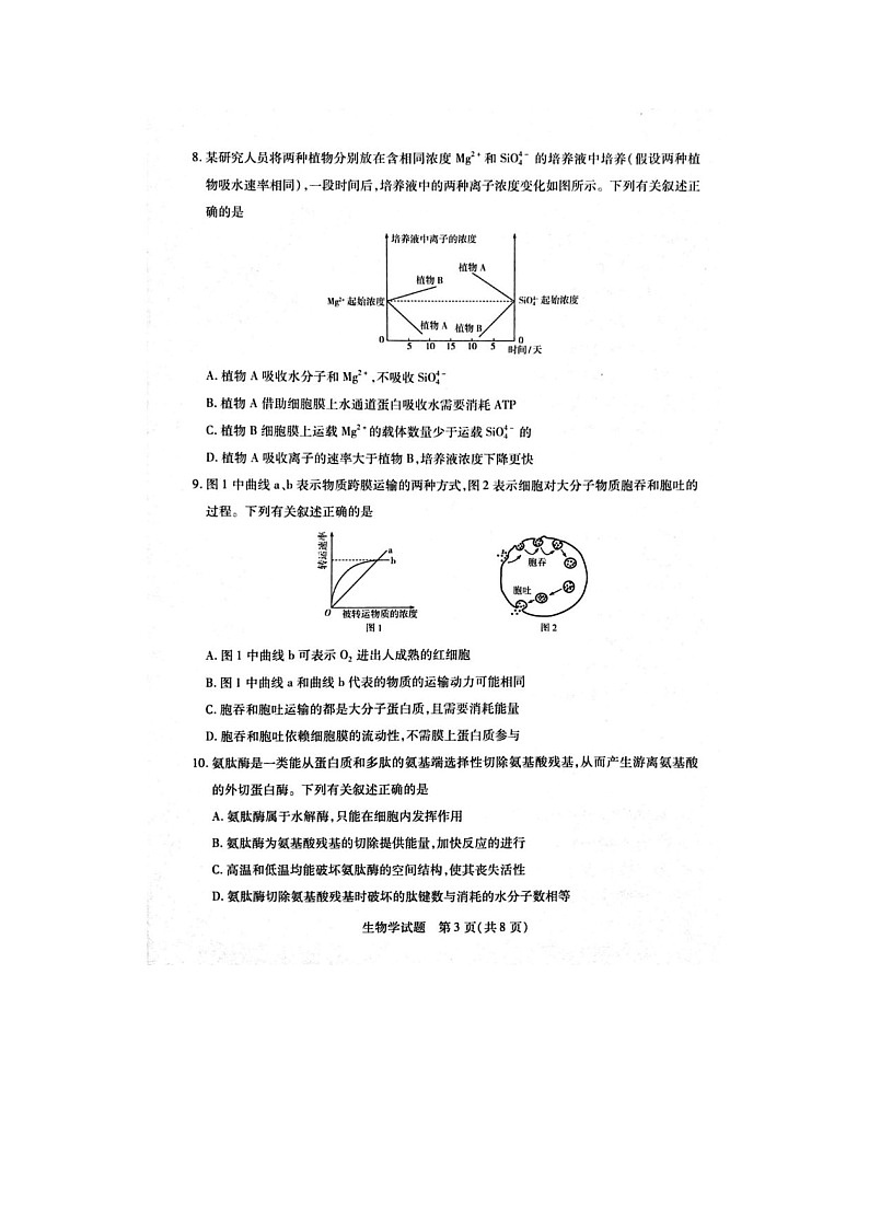 2024-2025学年上学期河南省周口市高一1月期末考试生物试卷含答案第3页