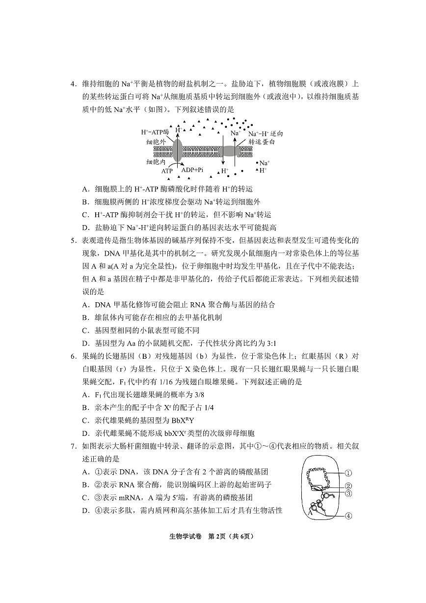 贵州省毕节市2025届高三年级高考第二次适应性考试生物第2页