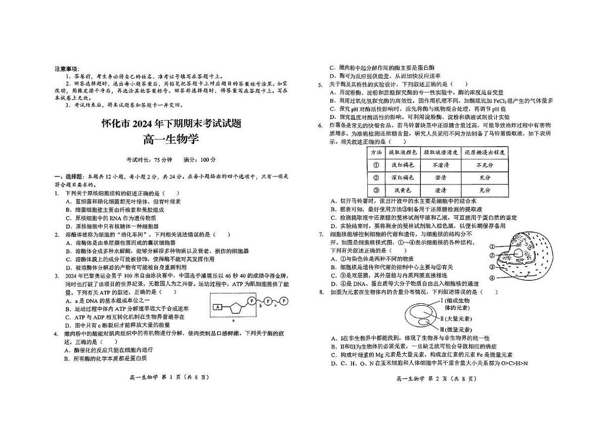 2025怀化高一上学期期末考试生物试题扫描版无答案第1页