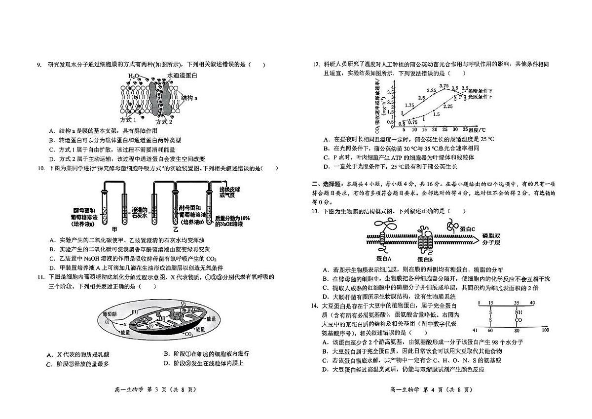2025怀化高一上学期期末考试生物试题扫描版无答案第2页
