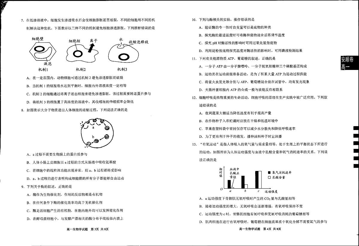 2025安顺高一上学期期末考试生物PDF版无答案第2页