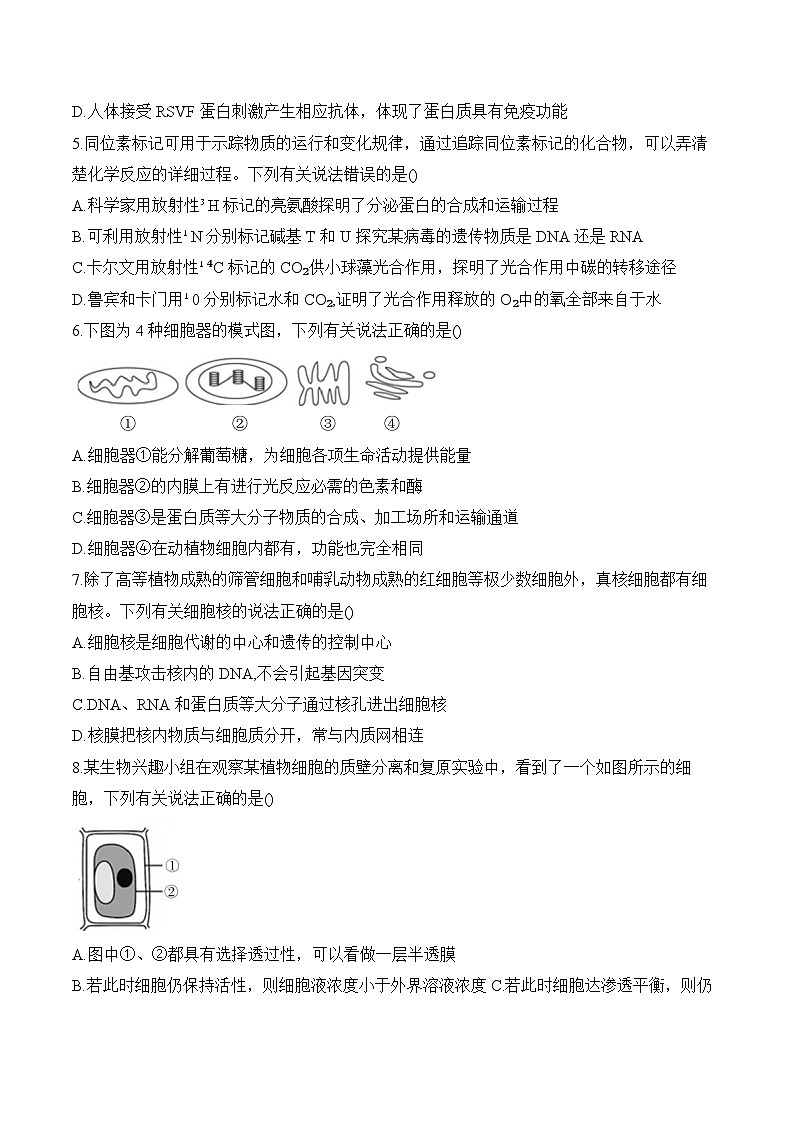 2025安徽省A10联盟高一下学期2月开年考试生物含答案第2页