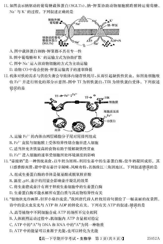 2025安徽省部分地市高一下学期开学考试生物PDF版含解析第3页